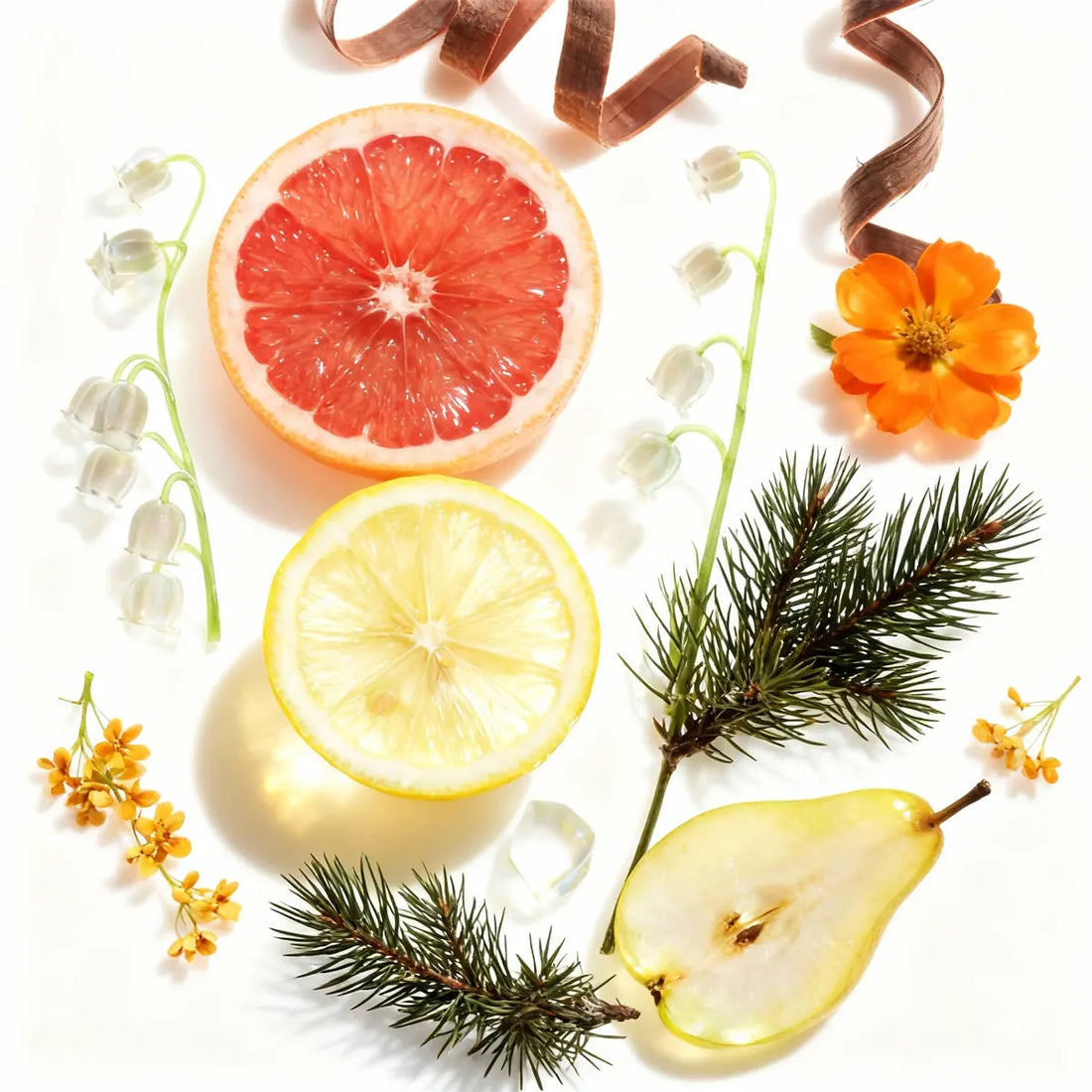 Golden Citrus 1.2 oz w/ Silicone Case & Keychain