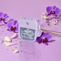 Violet Orchid